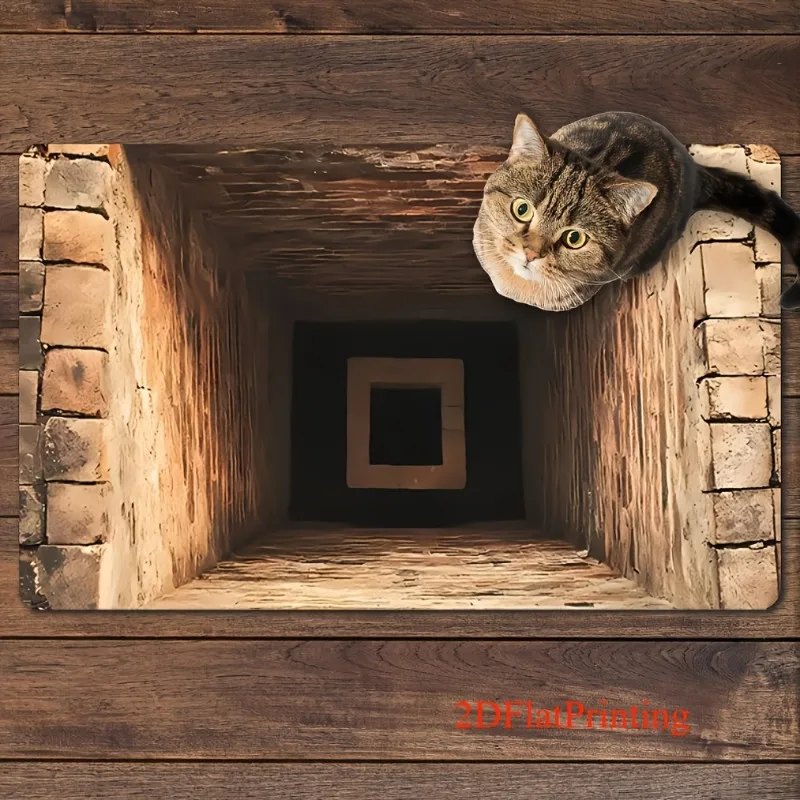 2D Flat Mystery Staircase Door - огляд і ціна Stepping Stone Foam